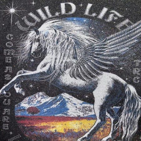 Transfer DTF Glitter