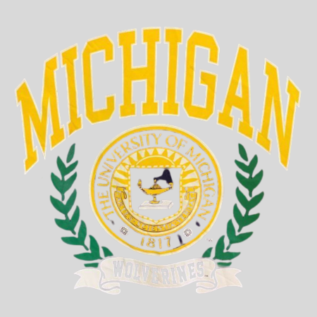 Pliego Universidades - Michigan