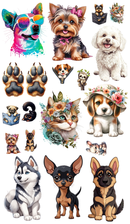 Pliego de Diseño - Mascotas - 1