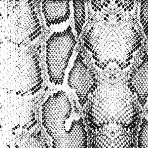 Piel Serpiente